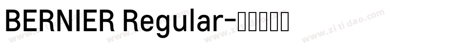 BERNIER Regular字体转换